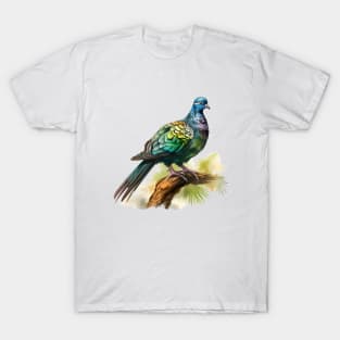 Nicobar Pigeon T-Shirt